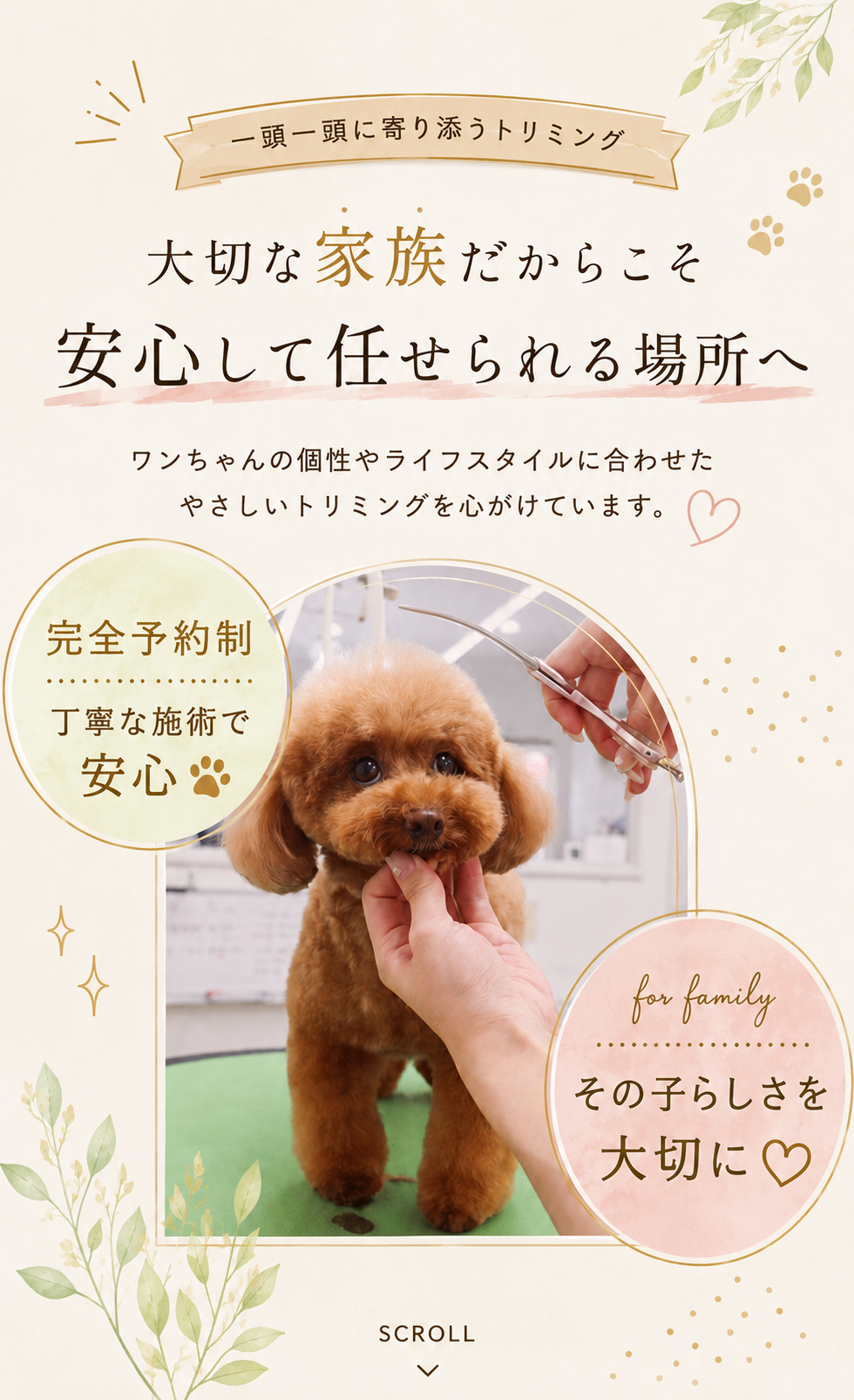 大切な家族だからこそ安心して任せられる場所へ。ワンちゃんの個性やライフスタイルに合わせたやさしいトリミングを心がけています。