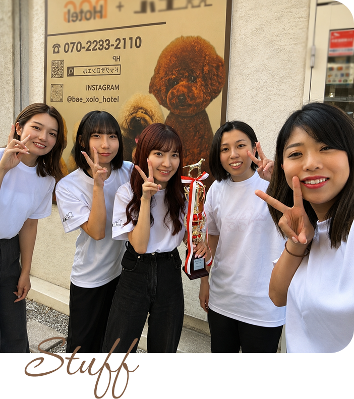 スタッフ紹介